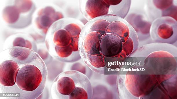 cells - binary fission stock illustrations stock pictures, royalty-free photos & images