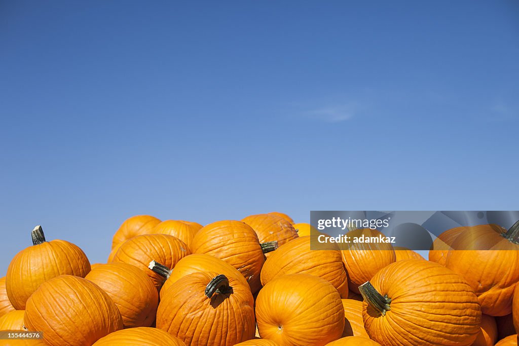 Pumpkins