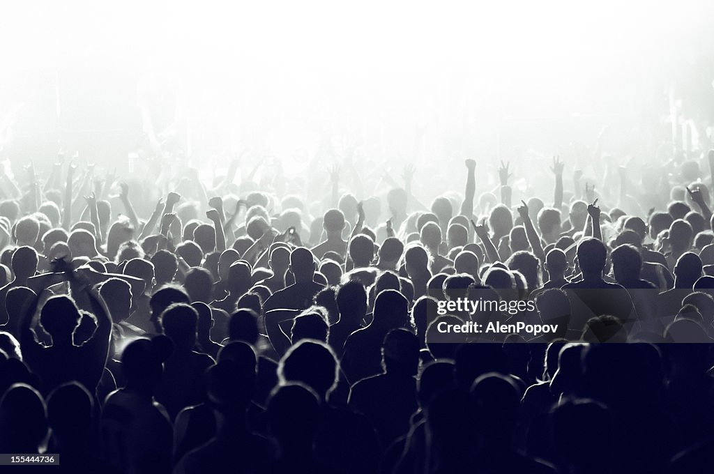 Concert crowd