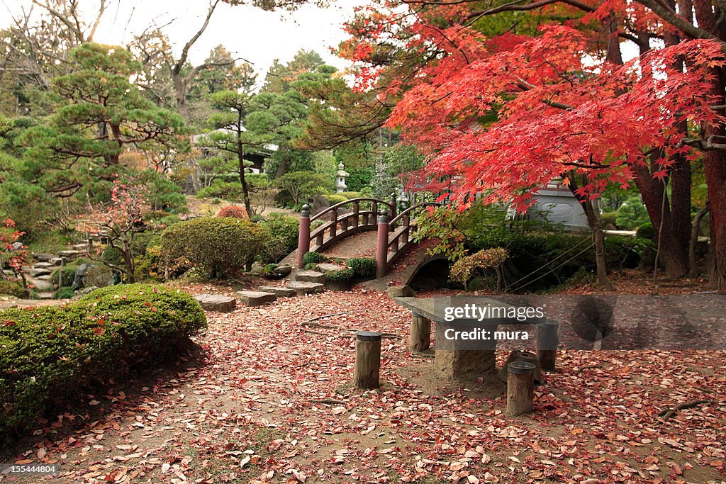 Japanese garden in autumn