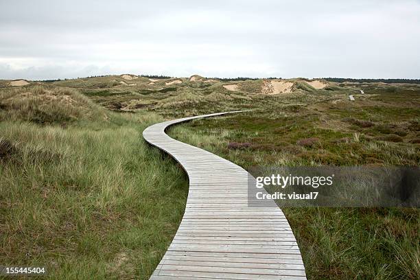 wooden walking path - enbilsväg bildbanksfoton och bilder