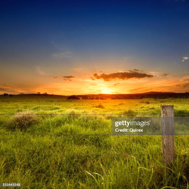 last light over field - queensland farm stock pictures, royalty-free photos & images