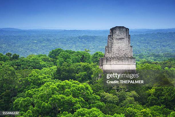 tikal guatemala - tikal fotografías e imágenes de stock