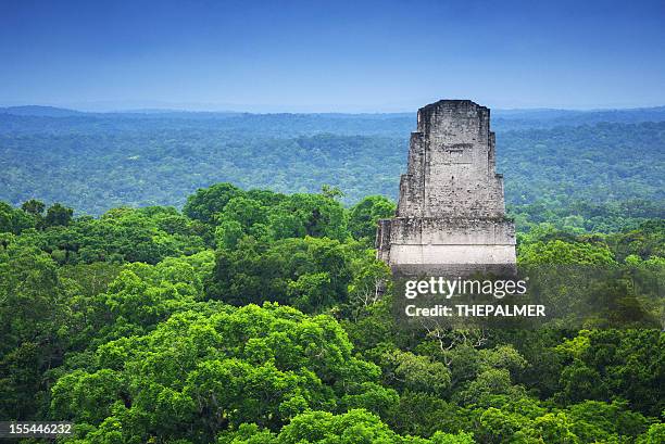 tikal guatemala - tikal stockfoto's en -beelden