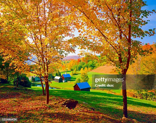 Rustic Tree Images 2,660 Rustic Colorful Trees Stock Photos, High-Res Pictures, and Images ...