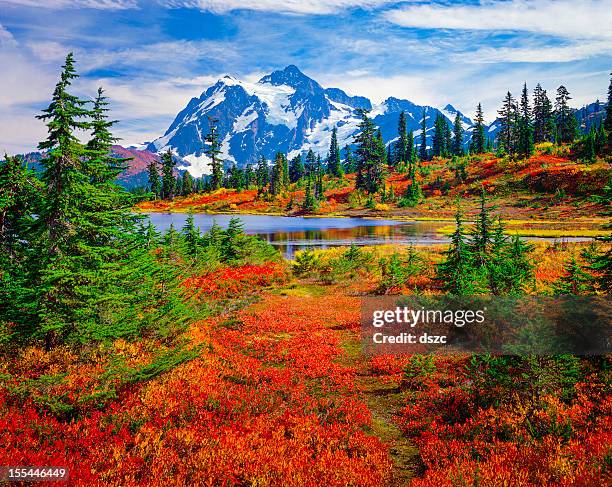 monte shuksan, lago picture, washington, colores otoñales brillantes alfombra de color naranja - estado de washington fotografías e imágenes de stock