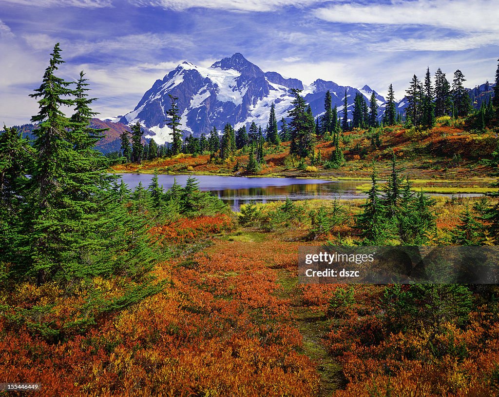 Mount Shuksan, Picture Lake, Washington, brilliant carpet orange autumn colors