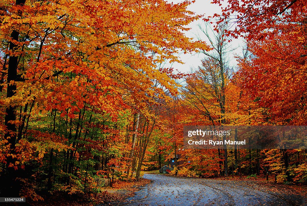 Campground at the White Mountains, NH