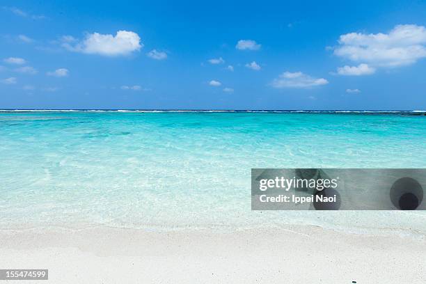 clear blue tropical water and white sand beach - beach tropical deserted blue sky stock-fotos und bilder