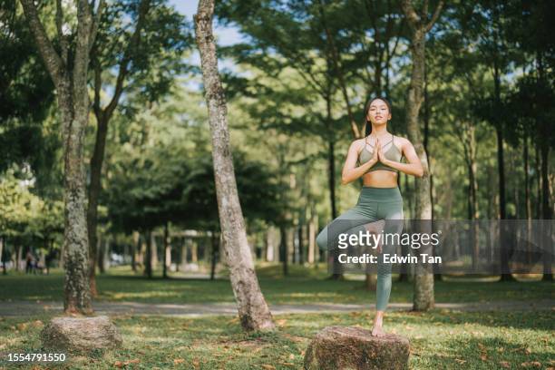 asian chinese woman practicing yoga in public park weekend morning - tree position stock pictures, royalty-free photos & images