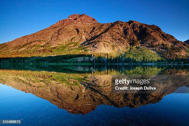a mountain of a reflection... - two medicine lake montana stock pictures, royalty-free photos & images