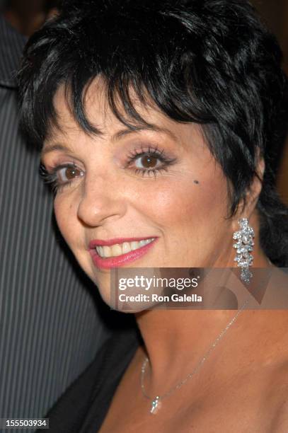 Liza Minnelli during Mercedes-Benz Fashion Week Spring 2004 - Heatherette - Front Row and Backstage at MAO Space at Atlas in New York City, New York,...