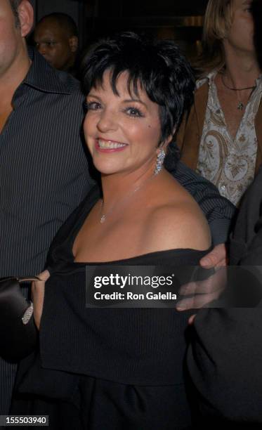 Liza Minnelli & guest during Mercedes-Benz Fashion Week Spring 2004 - Heatherette - Front Row and Backstage at MAO Space at Atlas in New York City,...