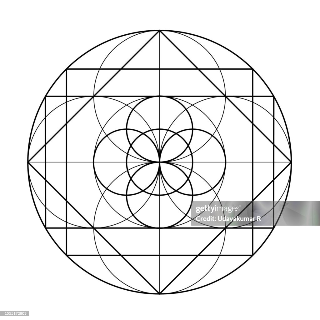 Rectangular Round Graph Circle Square And Rectangle Graphs Scared Geometry Vector Design ...