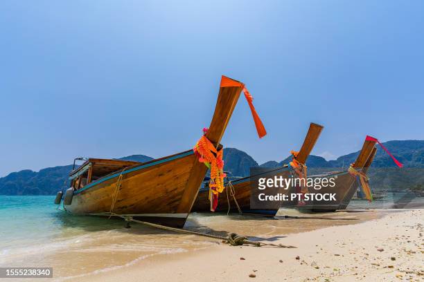 many long-tailed boats moored at phi phi islands beach in krabi province. - 車海老料理 個照片及圖片檔