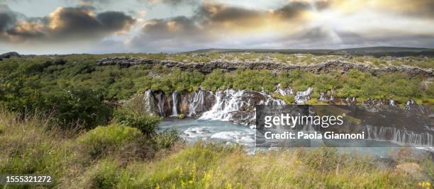 iceland waterfalls. hraunfossar at sunset in summer - hraunfossar stock pictures, royalty-free photos & images
