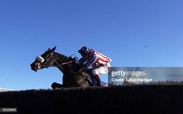 Exeter Raceway Joe Tizzard and Flagship Uberalles clear the last fence at Exeter ...