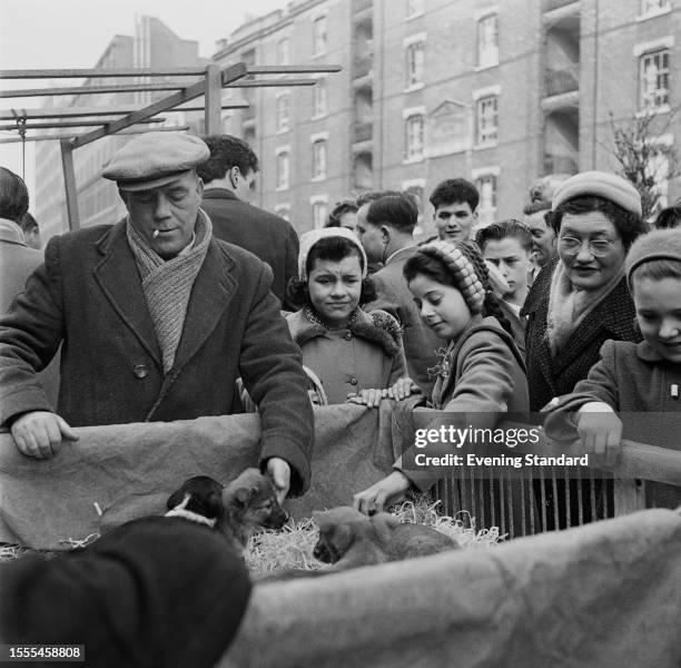 Crowd of people stroke puppies at a market stall in Club Row Market, Bethnal Green, London, March 27th, 1958. Club Row Market was London's only live...