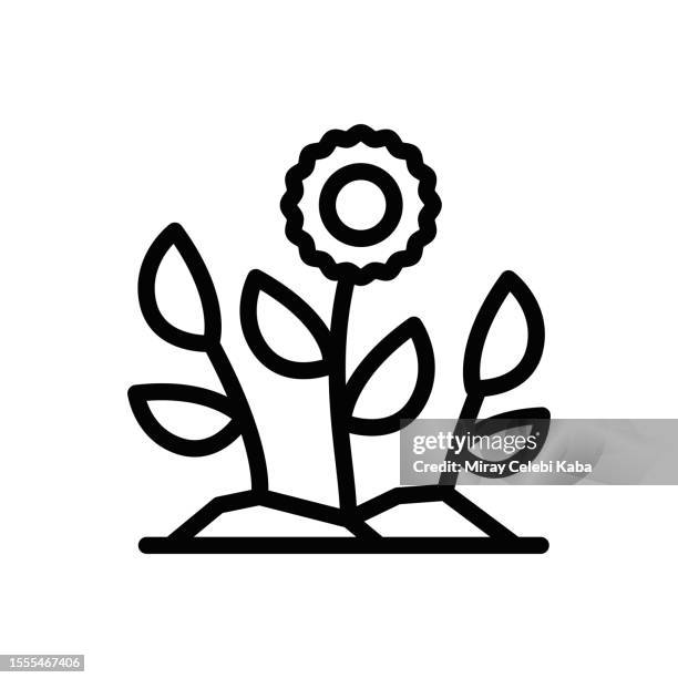 botany line icon - single sunflower stock illustrations
