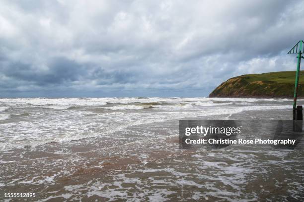 st bees head - st bees stock pictures, royalty-free photos & images