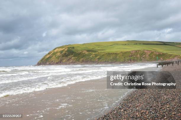 st bees head - st bees stock pictures, royalty-free photos & images