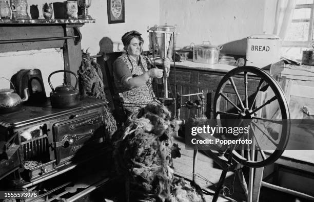 Kitty McKinnon at work spinning woollen yarn to produce Harris Tweed cloth on a spinning wheel in the kitchen of her home on North Harris in the...