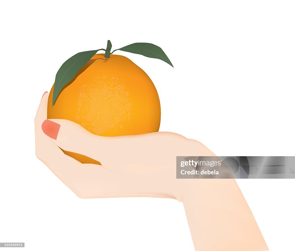 Hand Vector Orange Hand With Orange High-Res Vector Graphic - Getty Images