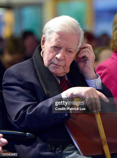 Former German Chancellor Helmut Schmidt attends a ceremony at the Kirchdorf/Wilhelmsburg Gymnasium high school on the day the school officially...