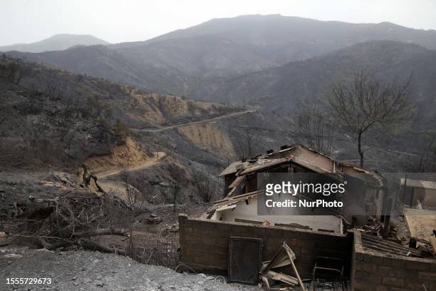 General view on burned houses in the village of de Oeud Das in Bejaia east of Algiers, Algeria, 25 July 2023. The Algerian Ministry of the Interior...