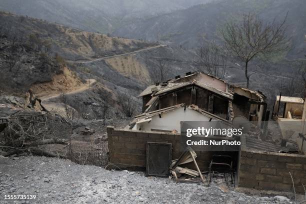 General view on burned houses in the village of de Oeud Das in Bejaia east of Algiers, Algeria, 25 July 2023. The Algerian Ministry of the Interior...