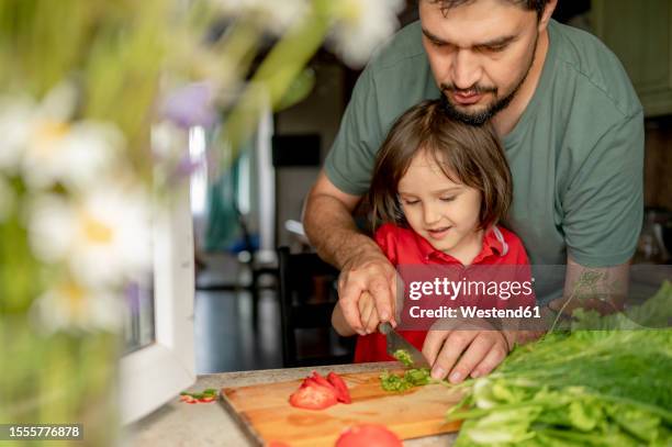 father teaching son to cut vegetables at home - chopped stock pictures, royalty-free photos & images