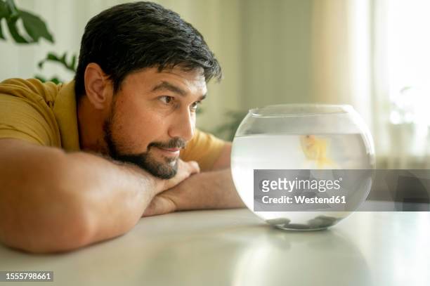man staring at goldfish in bowl at home - karausche stock-fotos und bilder
