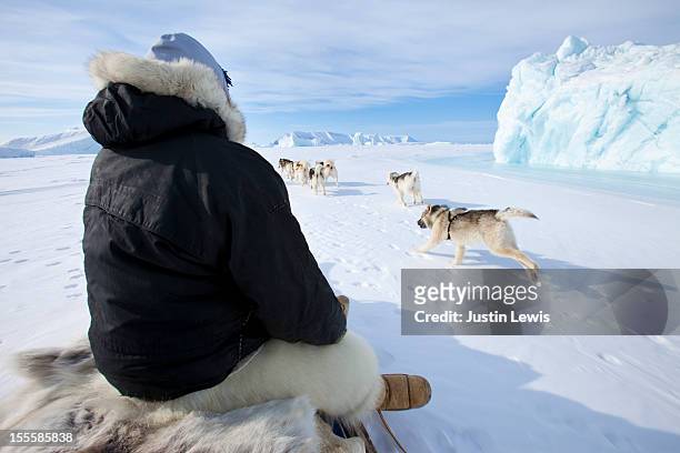 inuit man sits on sled while dogs run by iceberg - inuit people stock pictures, royalty-free photos & images