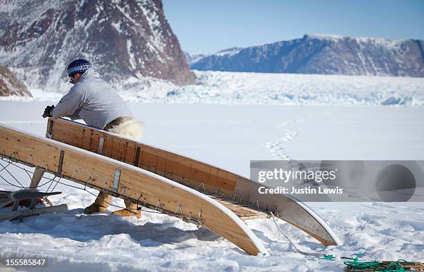 inuit man cleans runners on sled by glacier head - inuit people stock-fotos und bilder