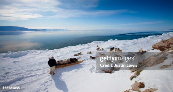 Inuit man with his sled dogs looking at ocean