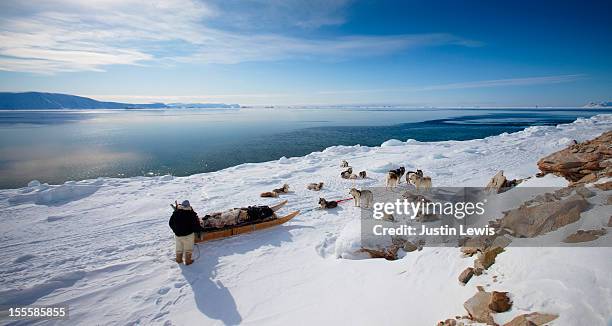 inuit man with his sled dogs looking at ocean - inuit people stock pictures, royalty-free photos & images