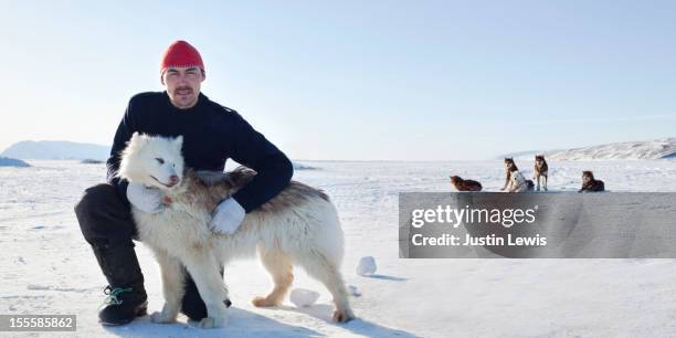 inuit man poses with arctic dog on sea ice - inuit people stock-fotos und bilder