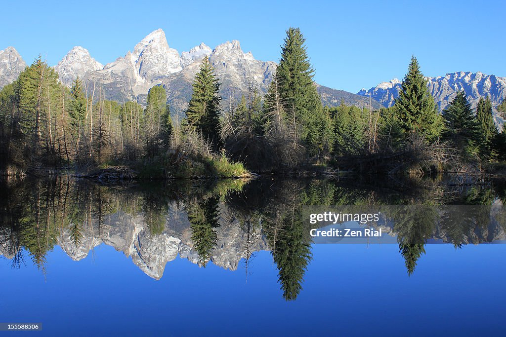 Beaver Pond Reflections