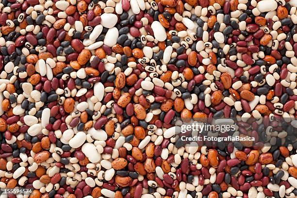 mixed beans - bonen stockfoto's en -beelden