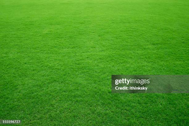 grüne gras hintergrund - rugbyplatz stock-fotos und bilder