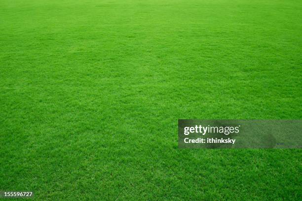 fondo verde hierba - green de golf fotografías e imágenes de stock