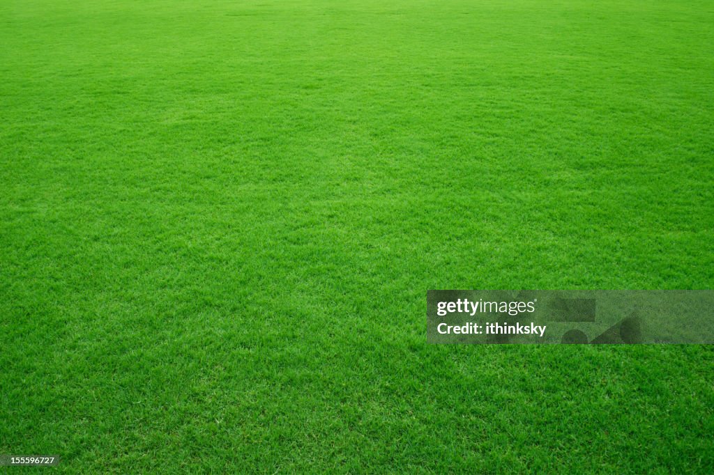 Green grass background