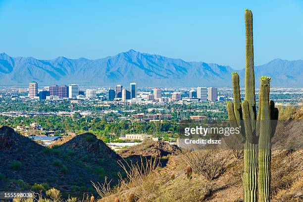 horizonte de la ciudad de phoenix, enmarcado por cactus saguaro y desierto de montaña - arizona fotografías e imágenes de stock