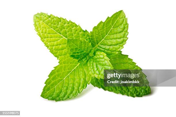 fresh mint leaf isolated on white - mint freshness stock pictures, royalty-free photos & images