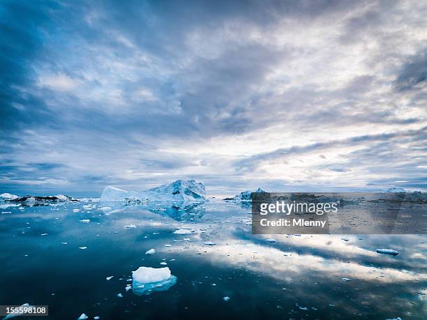 arctic iceberg groenlandia mattina alba fiordo di ghiaccio di ilulissat - circolo artico foto e immagini stock