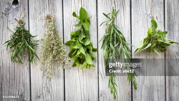 kräuter - trocknen stock-fotos und bilder