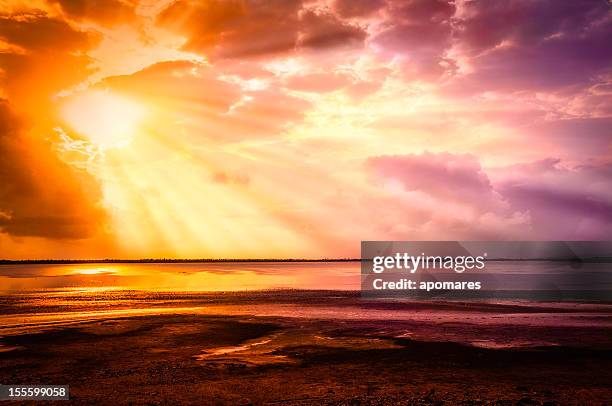 mystical sun rays from a cloudy morning sky - dramatische lucht stockfoto's en -beelden