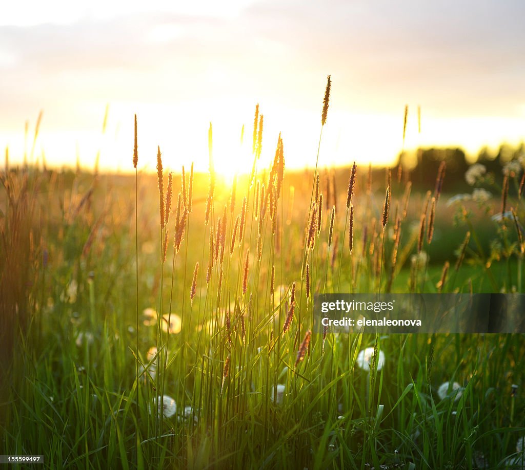 Bei Sonnenuntergang