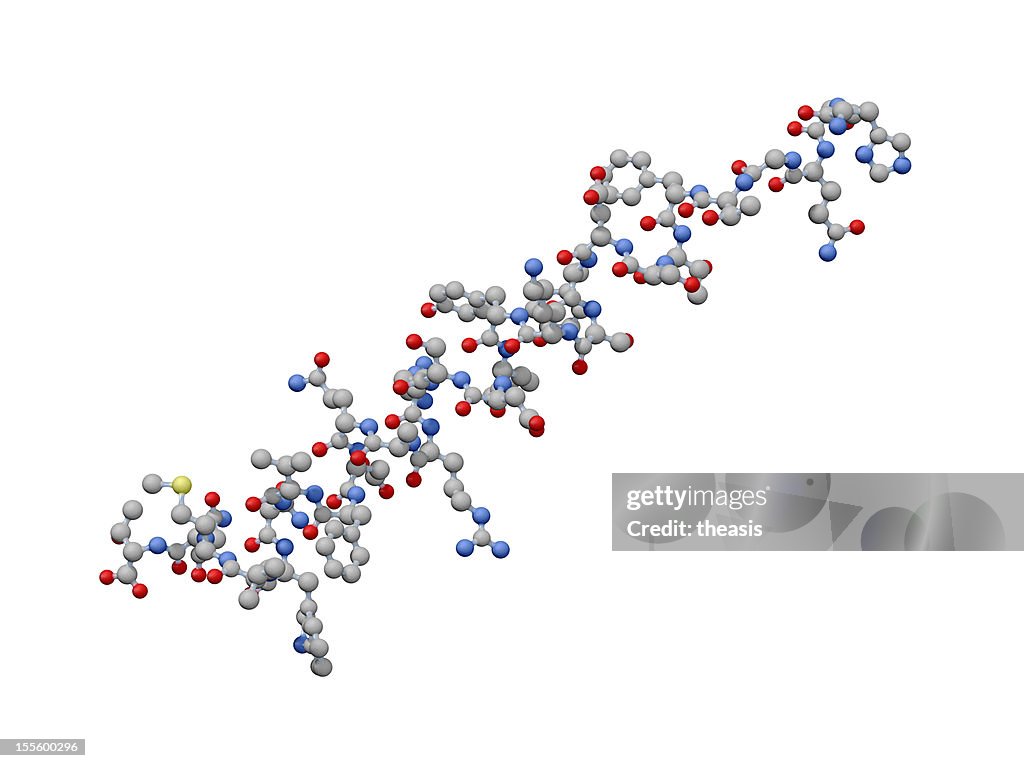 Model of Human Glucagon