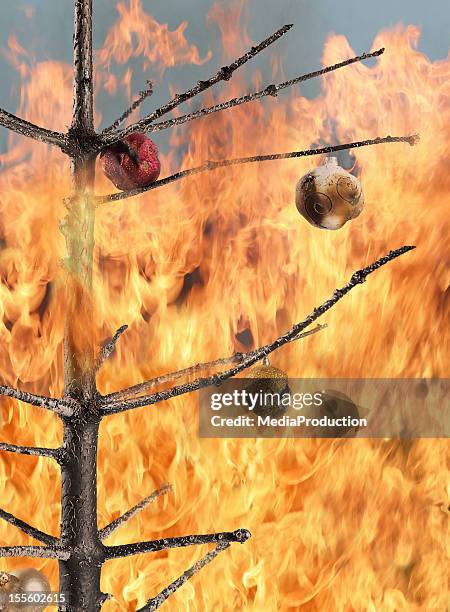 christmas tree on fire - burning stock pictures, royalty-free photos & images